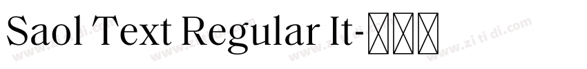 Saol Text Regular It字体转换